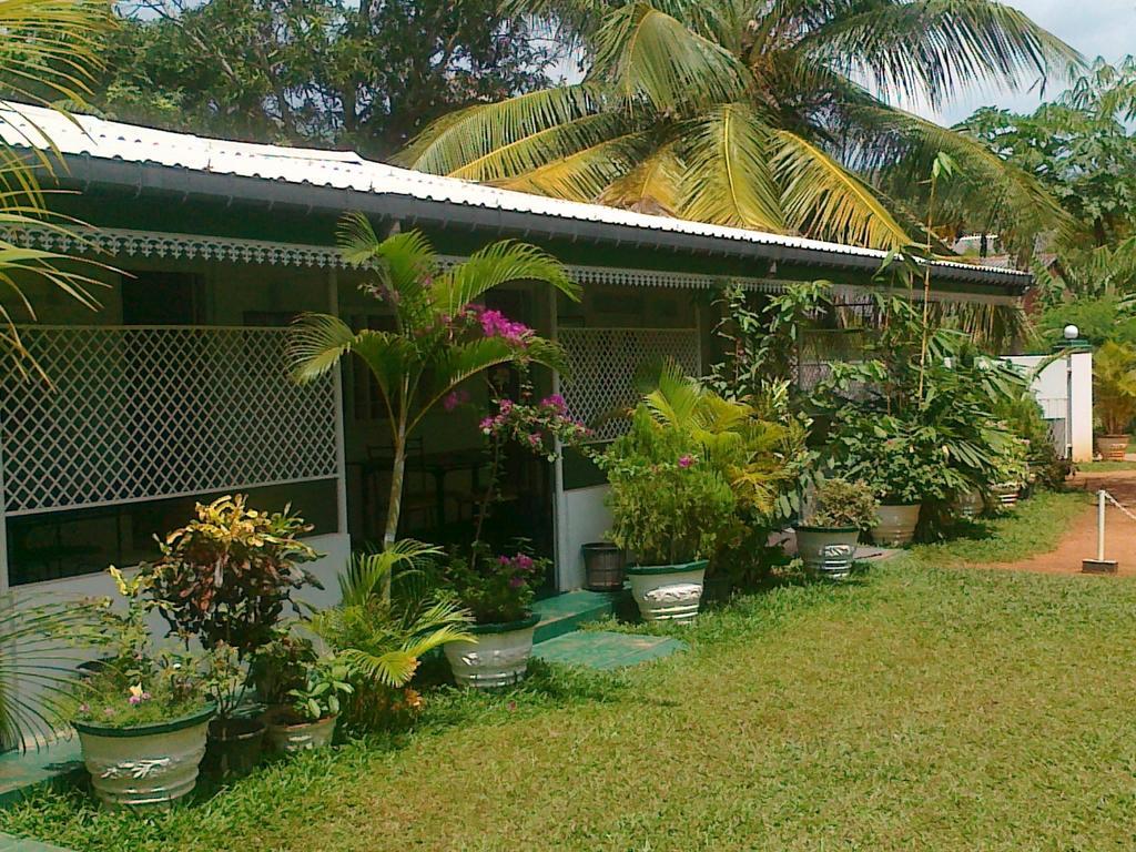 Hotel Levi'S Tourist - Anuradhapura Exterior foto